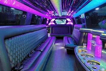 Loxahatchee Limo Interior